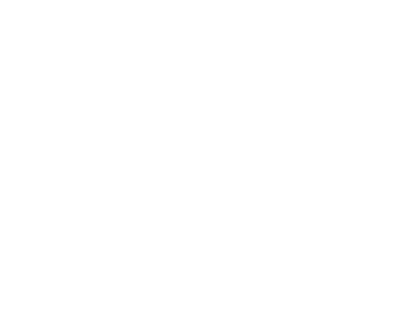 Elfem Consultoria
